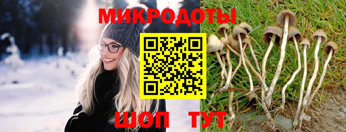 Псилоцибиновые грибы MAGIC MUSHROOMS Богородицк